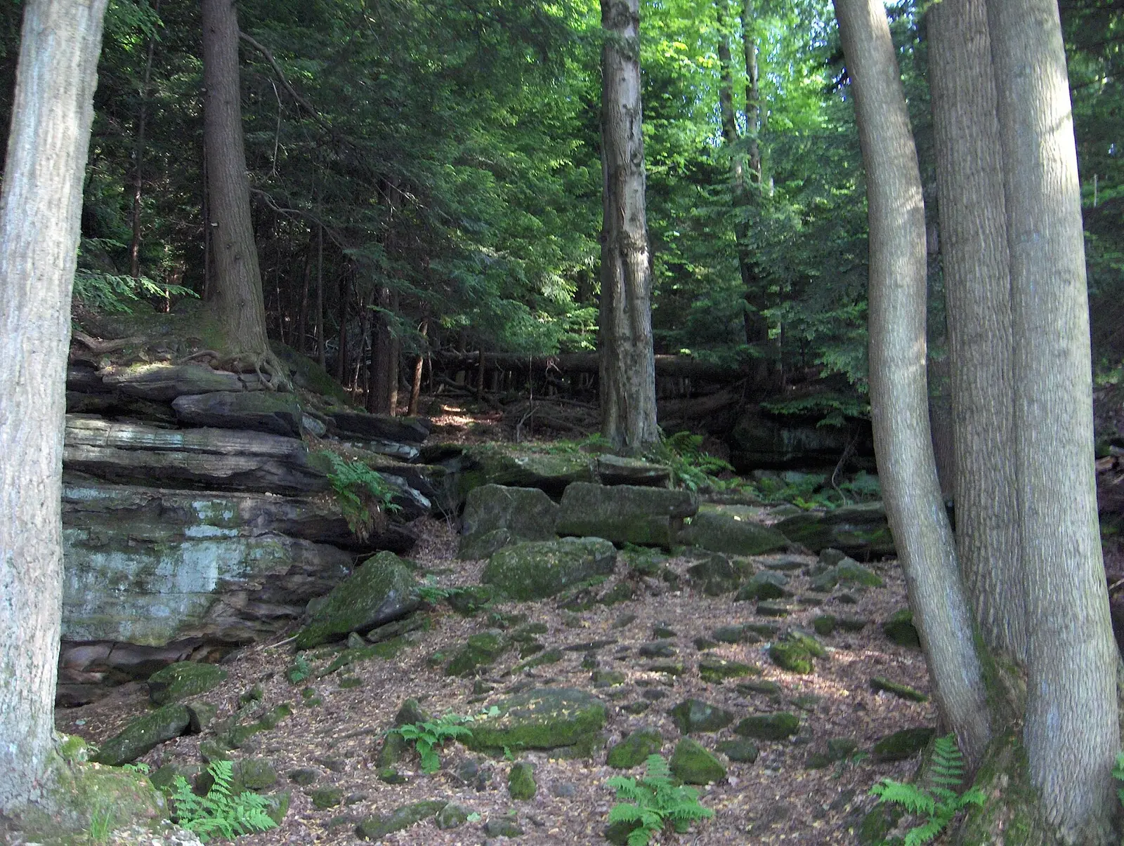 Woods and rock ledges in Cuyahoga Valley National Park, north of Akron's Merriman Valley